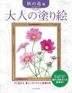 Ͻн˼ ͤɤ골 β