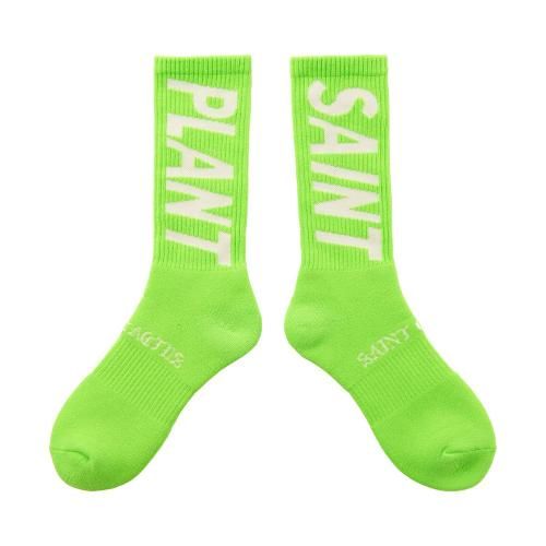 SAINT MXXXXXX | CP_SOCKS SNT PLANT / LIME