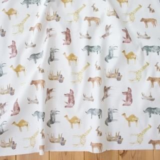 safariʥۥ磻ȡ